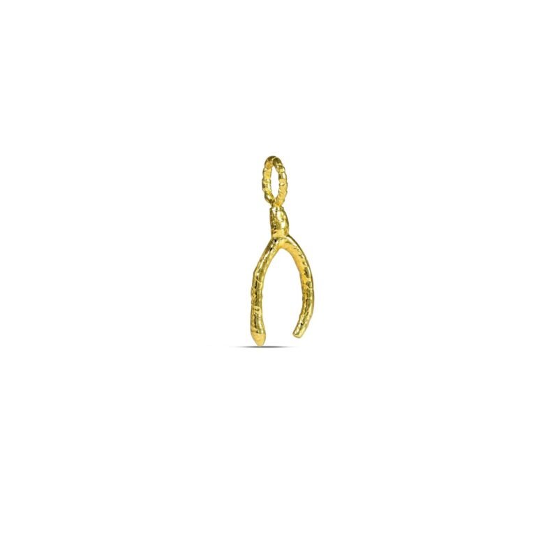 Wishbone Luck Charm