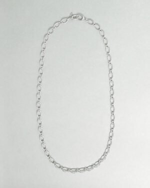 Citrus Chain Necklace Sv