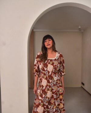 Brown net dress4