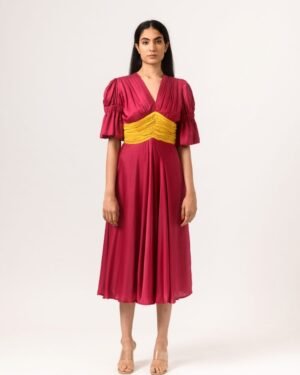 Wine YellowRouchingDress