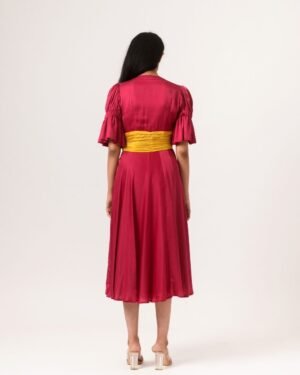 Wine YellowRouchingDress 2